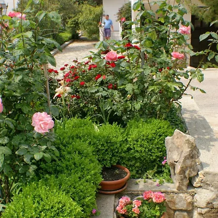 Apartmán Mandre 523b