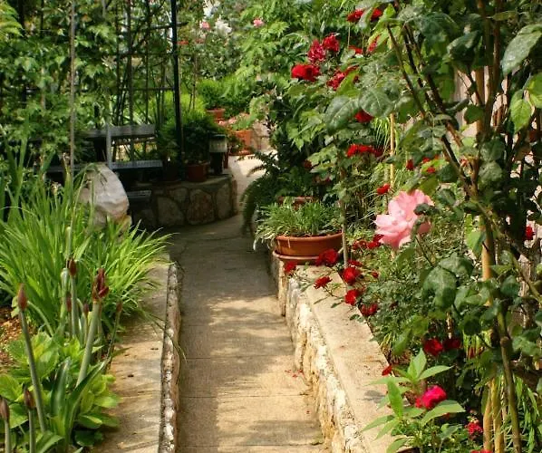 Apartmán Mandre 523b