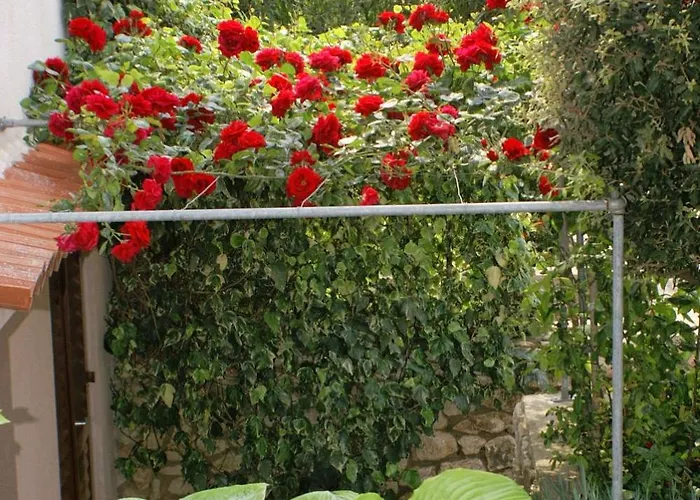 Apartmán Mandre 523b *