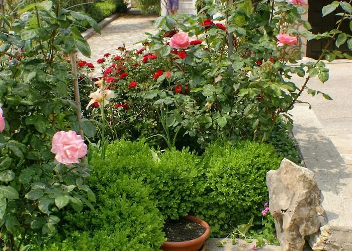 Apartamento Mandre 523b